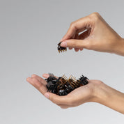 KITSCH Micro Cloud Clips 16pc Set - Black & Tort - Juego de pinzas