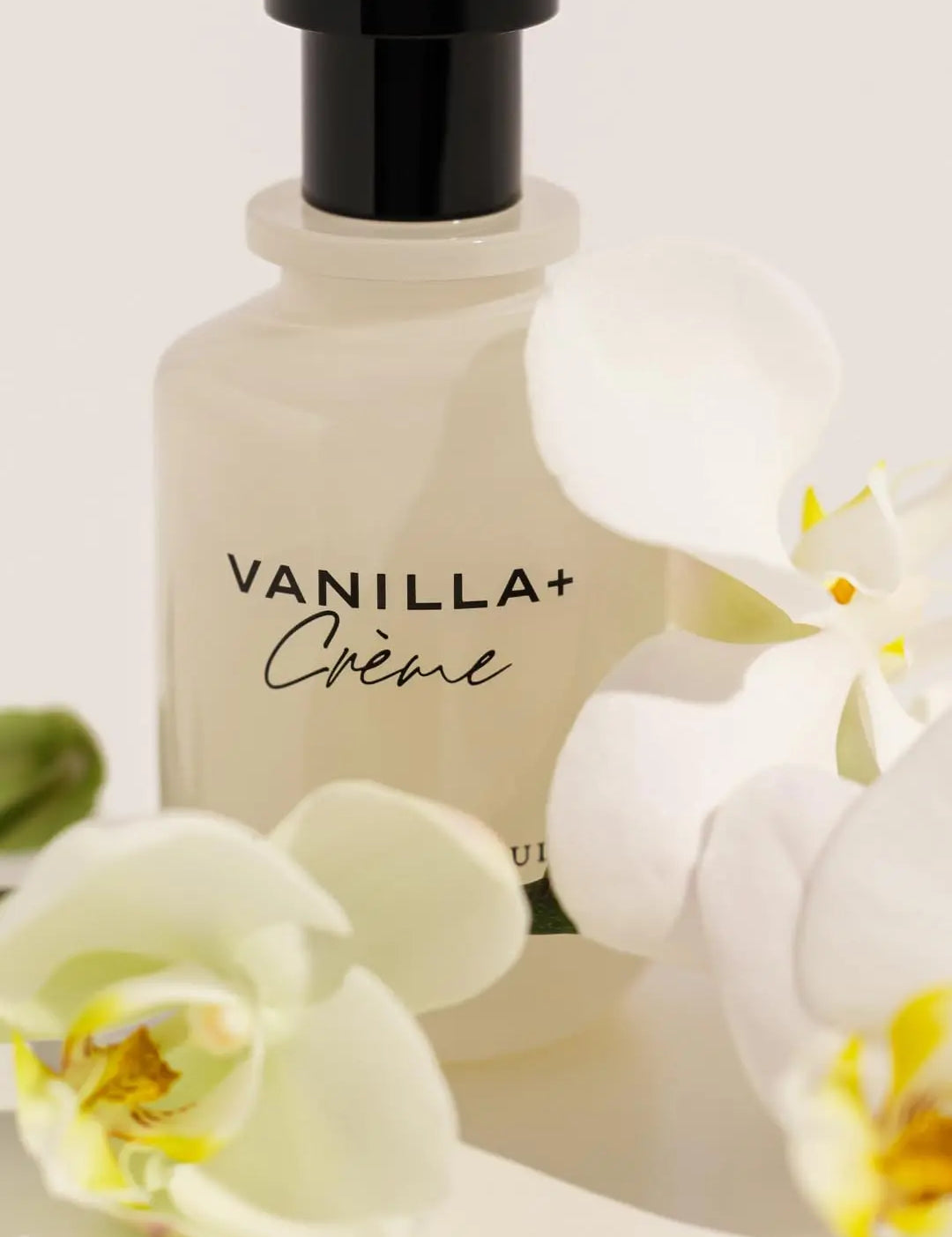 MICHAEL MALUL Vanilla + Creme EDP NAZ Beauty Shop Panama