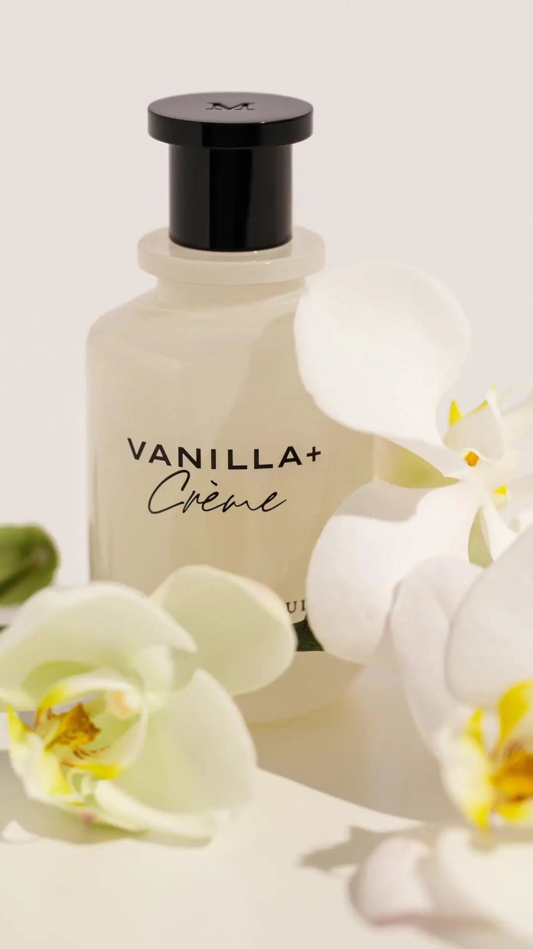 MICHAEL MALUL Vanilla + Creme EDP NAZ Beauty Shop Panama