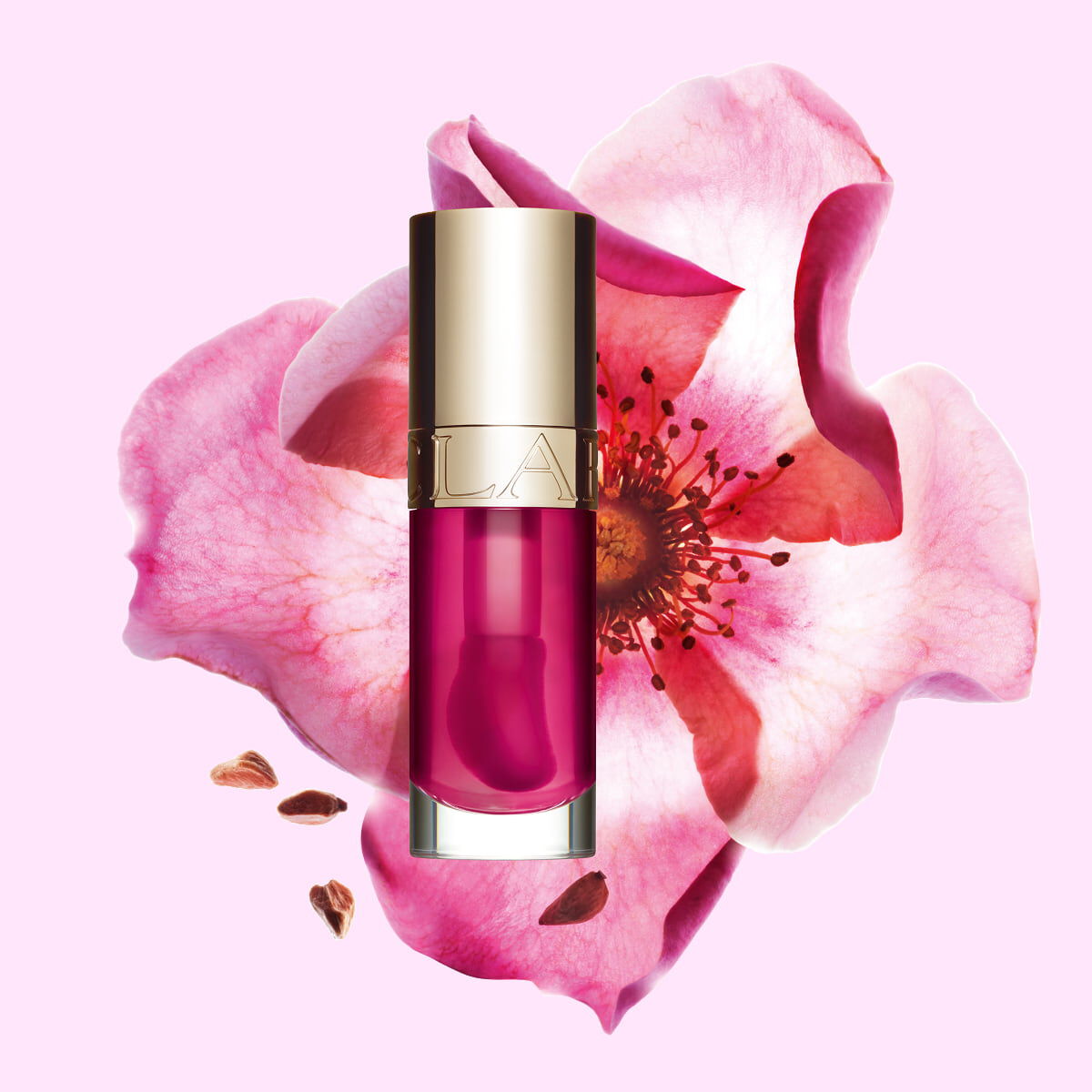 02 Raspberry