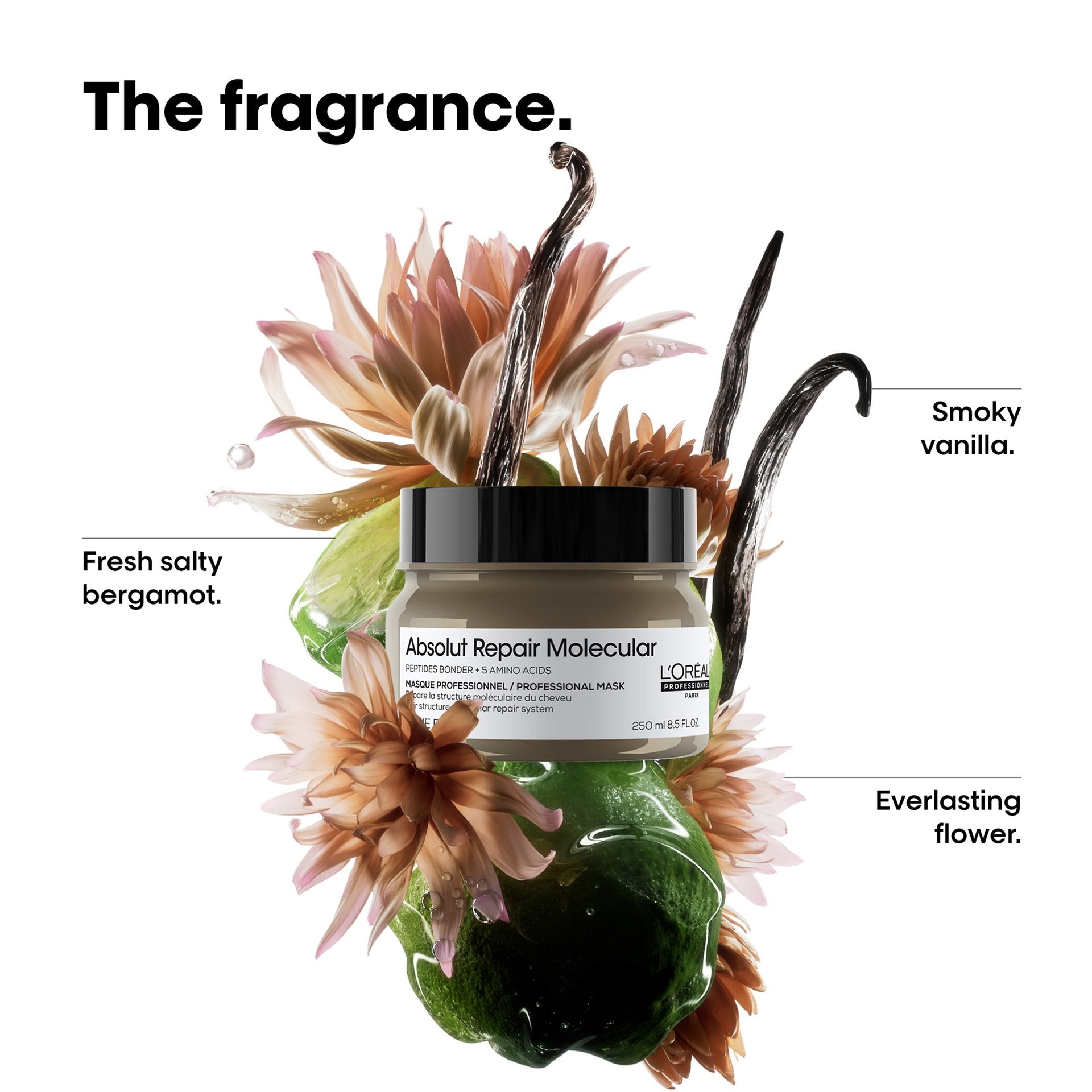 L'Oréal Professionnel Absolut Repair Molecular Masque vista frontal del envase 250ml