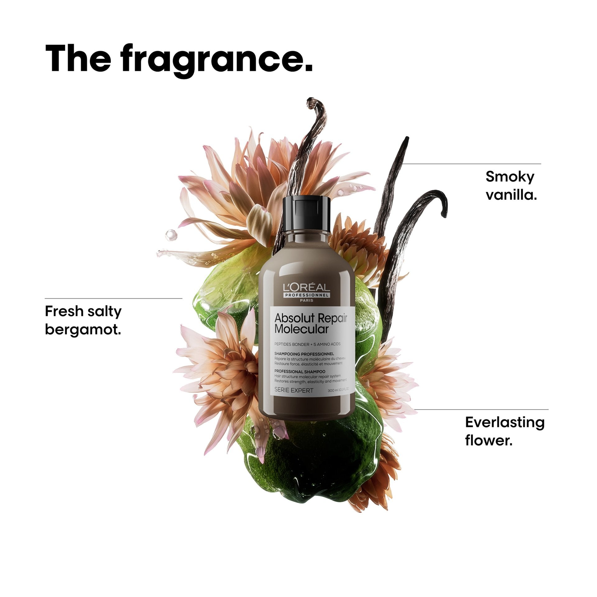L'Oréal Professionnel Absolut Repair Molecular Shampoo vista frontal del envase 300ml